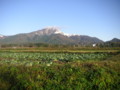 20091104074711