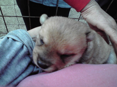 f:id:o-uiri:20091202105010j:image f:id:o-uiri:20091202105010j:image