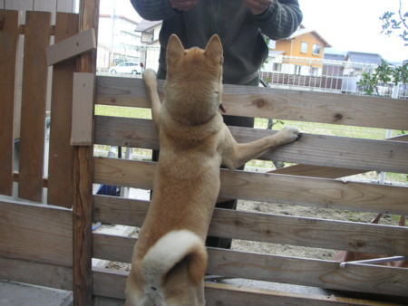 f:id:o-uiri:20091229132745j:image