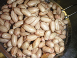 f:id:o-uiri:20100220073330j:image
