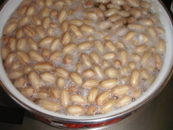 f:id:o-uiri:20100220074112j:image