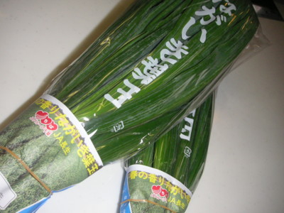 f:id:o-uiri:20100308160330j:image f:id:o-uiri:20100308160330j:image