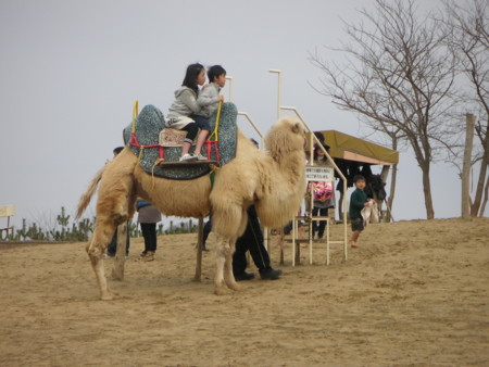 f:id:o-uiri:20100322141038j:image