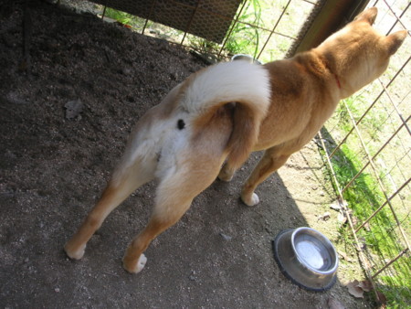 f:id:o-uiri:20100425151655j:image f:id:o-uiri:20100425151655j:image