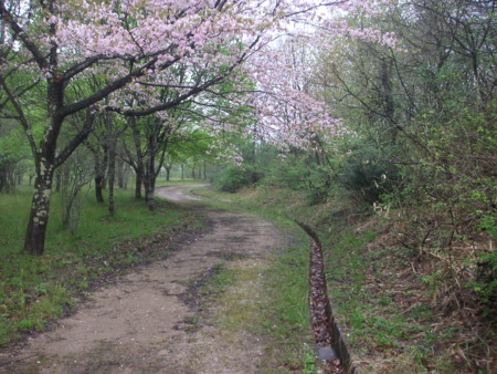 f:id:o-uiri:20100507075121j:image
