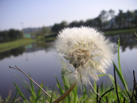 f:id:o-uiri:20100508073701j:image