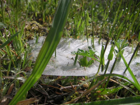 f:id:o-uiri:20100508080643j:image