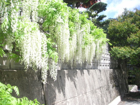 f:id:o-uiri:20100513124013j:image