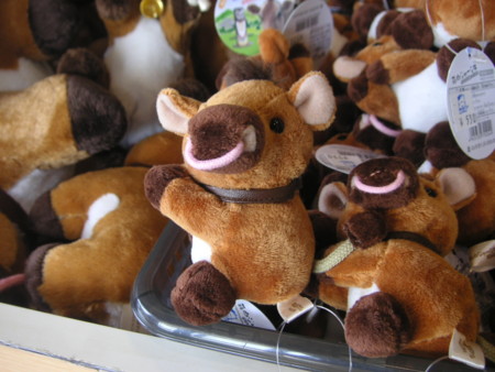 f:id:o-uiri:20100521145801j:image