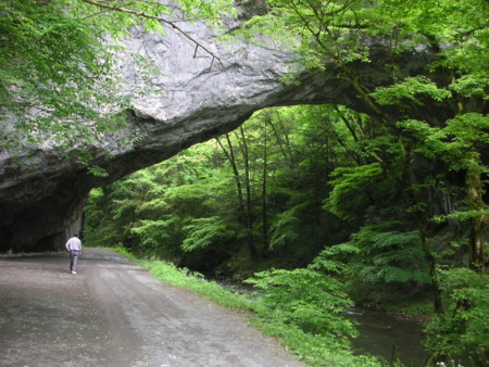 f:id:o-uiri:20100522133121j:image