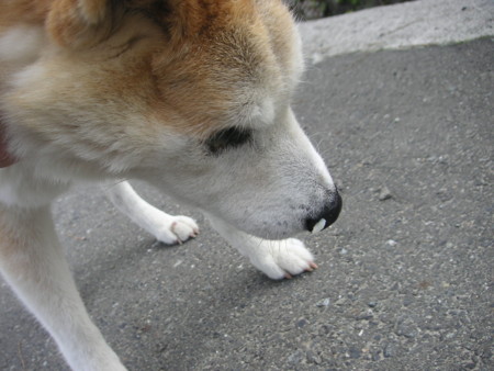 f:id:o-uiri:20100617070325j:image f:id:o-uiri:20100617070325j:image