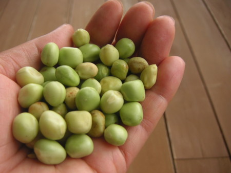 f:id:o-uiri:20100705094727j:image