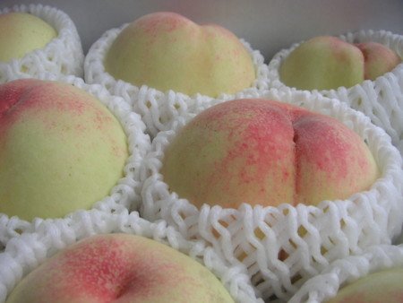 f:id:o-uiri:20100715135735j:image f:id:o-uiri:20100715135735j:image