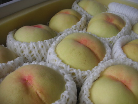 f:id:o-uiri:20100726150740j:image