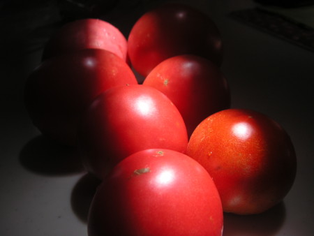 f:id:o-uiri:20100806112254j:image