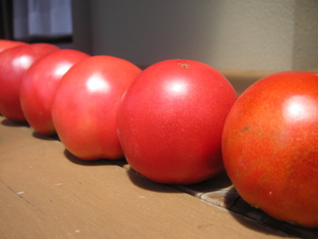 f:id:o-uiri:20100806112541j:image