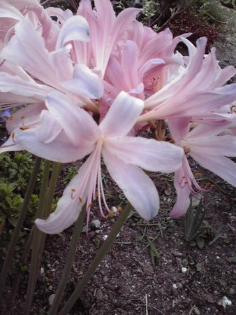 f:id:o-uiri:20100822181619j:image f:id:o-uiri:20100822181619j:image