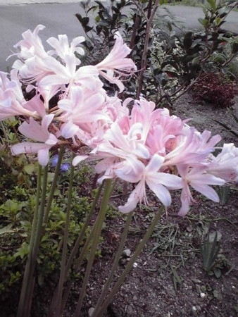 f:id:o-uiri:20100822181621j:image f:id:o-uiri:20100822181621j:image