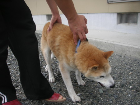 f:id:o-uiri:20101003101341j:image f:id:o-uiri:20101003101341j:image