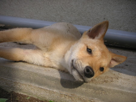 f:id:o-uiri:20101014141150j:image f:id:o-uiri:20101014141150j:image