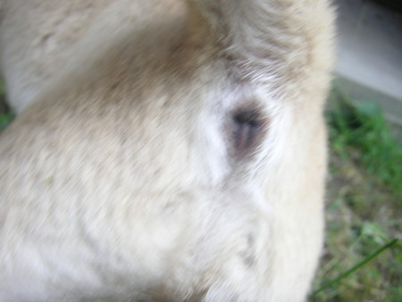 f:id:o-uiri:20101014142052j:image f:id:o-uiri:20101014142052j:image