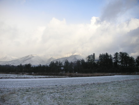 f:id:o-uiri:20101209082917j:image f:id:o-uiri:20101209082917j:image