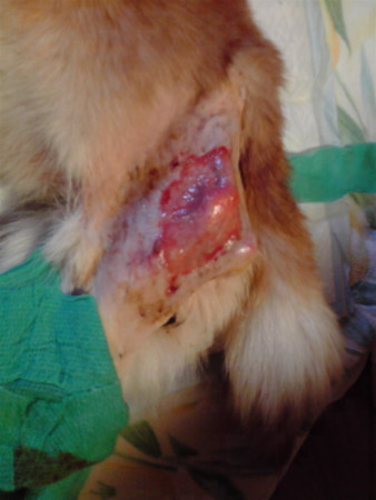 f:id:o-uiri:20110213083100j:image f:id:o-uiri:20110213083100j:image