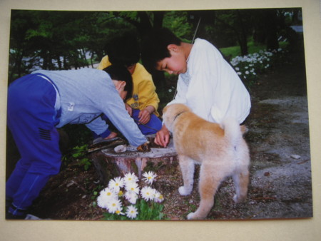 f:id:o-uiri:20110310114934j:image f:id:o-uiri:20110310114934j:image
