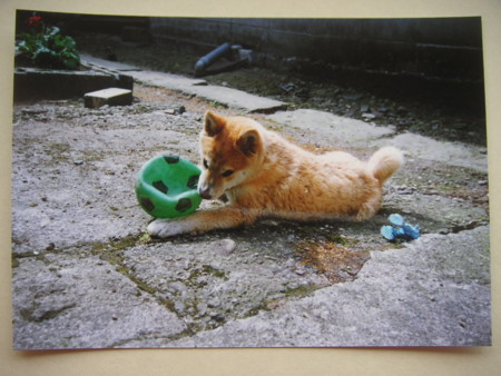 f:id:o-uiri:20110310115509j:image f:id:o-uiri:20110310115509j:image