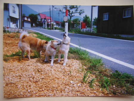 f:id:o-uiri:20110310115712j:image f:id:o-uiri:20110310115712j:image