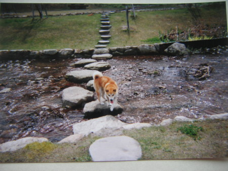 f:id:o-uiri:20110310120127j:image f:id:o-uiri:20110310120127j:image