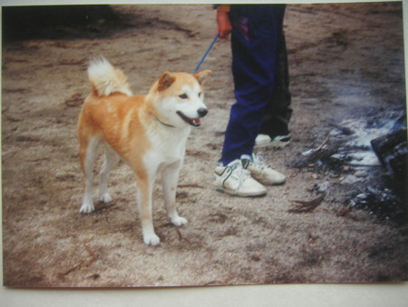 f:id:o-uiri:20110310120222j:image f:id:o-uiri:20110310120222j:image