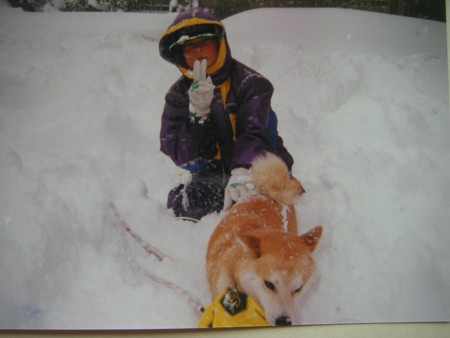 f:id:o-uiri:20110310120456j:image f:id:o-uiri:20110310120456j:image