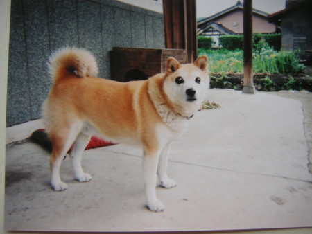 f:id:o-uiri:20110310120710j:image f:id:o-uiri:20110310120710j:image