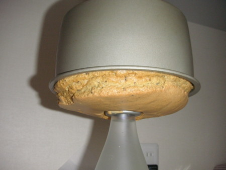 f:id:o-uiri:20110328163325j:image f:id:o-uiri:20110328163325j:image