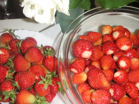 f:id:o-uiri:20110610141628j:image f:id:o-uiri:20110610141628j:image