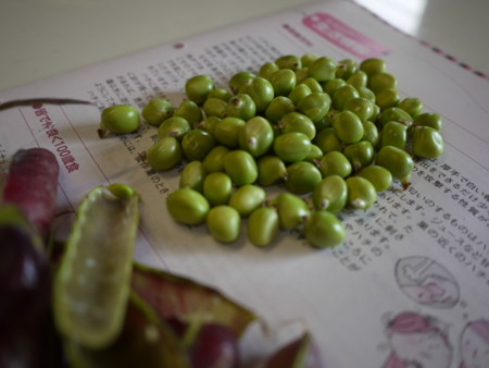 f:id:o-uiri:20110613090321j:image