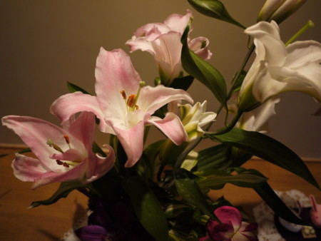f:id:o-uiri:20110625175423j:image