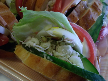 f:id:o-uiri:20110731164606j:image