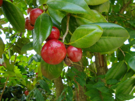 f:id:o-uiri:20110929113830j:image