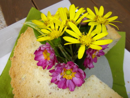 f:id:o-uiri:20111015091051j:image