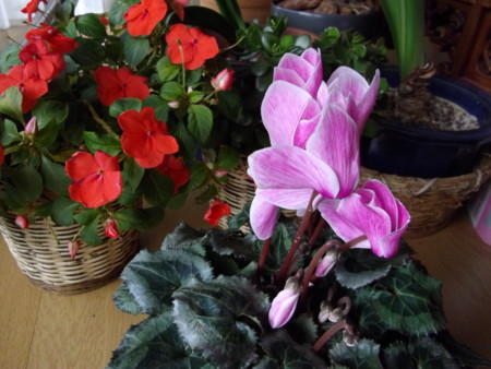 f:id:o-uiri:20111124085239j:image f:id:o-uiri:20111124085239j:image