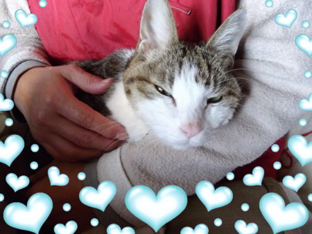 f:id:o-uiri:20111213154355j:image:w360
