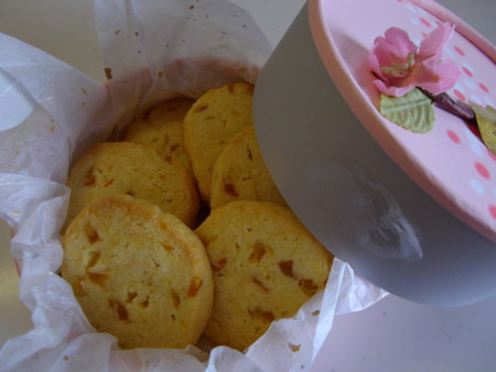 f:id:o-uiri:20120221124835j:image:w360