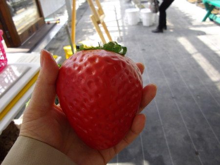 f:id:o-uiri:20120404104053j:image:w360 f:id:o-uiri:20120404104053j:image:w360