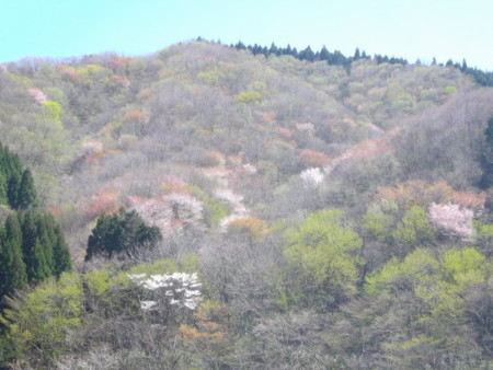 f:id:o-uiri:20120427141850j:image:w360 f:id:o-uiri:20120427141850j:image:w360