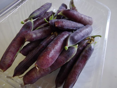 f:id:o-uiri:20120624095605j:image:w360