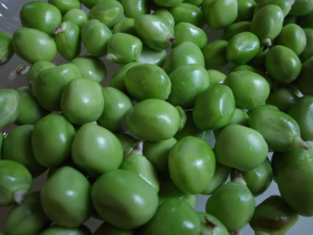 f:id:o-uiri:20120624100406j:image:w360