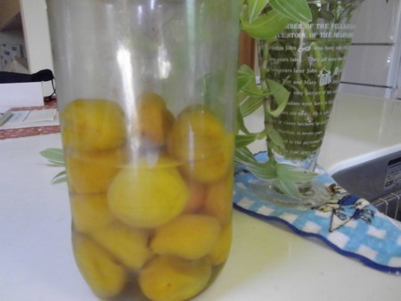 f:id:o-uiri:20120710125034j:image:w360
