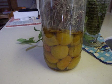f:id:o-uiri:20120711163046j:image:w360
